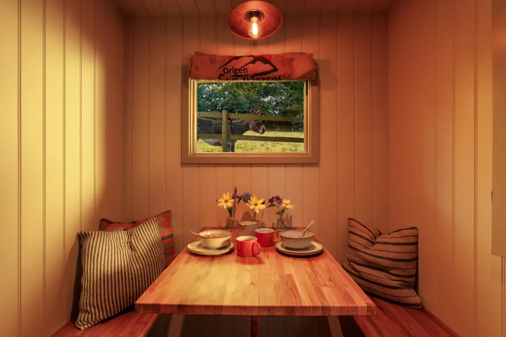 36f98d36 9c4a 4cf0 a9a8 3cf2c68f98fe.jpg