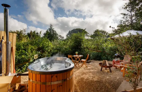 40f6bdf7 7b86 4994 93a0 1e0f2ac90b88.jpg