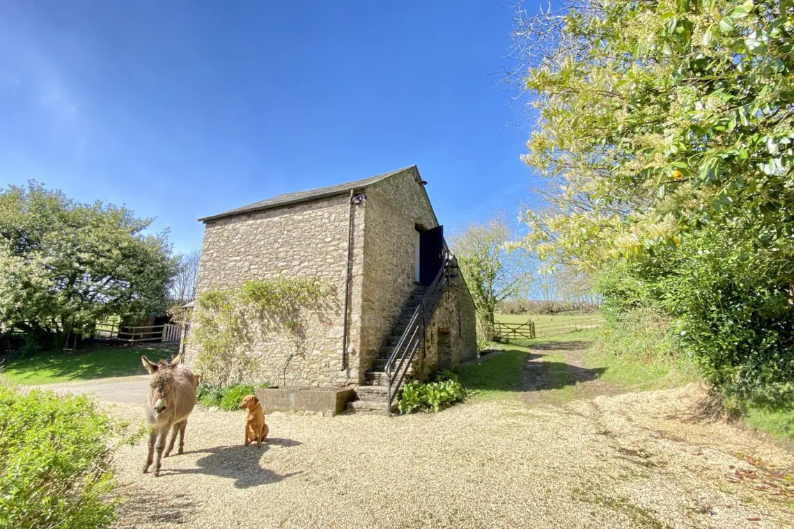 438159ff a418 4319 b770 9371ea77c66d.jpg