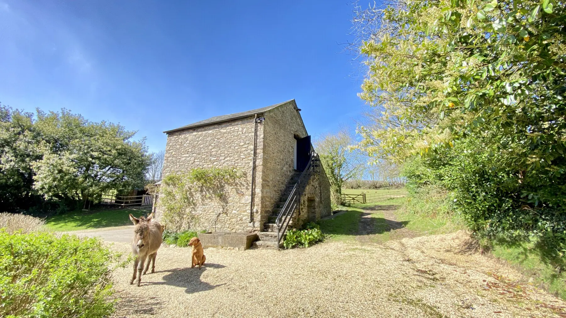 438159ff a418 4319 b770 9371ea77c66d.jpg