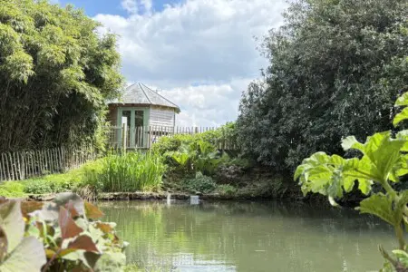 6f783413 f420 4001 badb fc8a3783326e.jpg