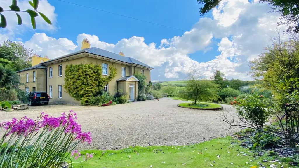 701b3bf5 1ac4 43f8 964d a63ecd7e8617.jpg