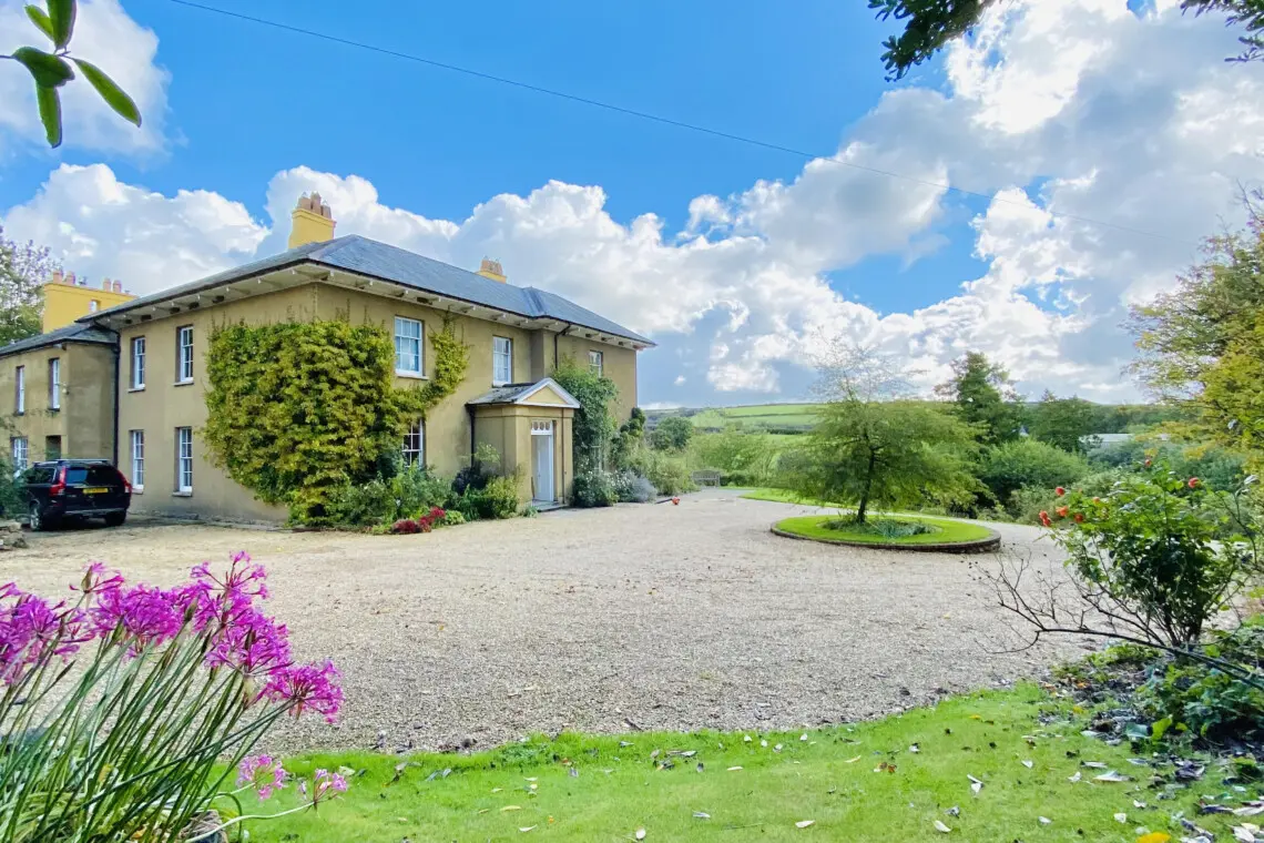 701b3bf5 1ac4 43f8 964d a63ecd7e8617.jpg