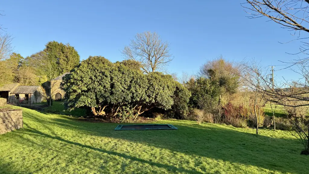 7982e6df df79 4c86 8f3f ee7fc184f9ee.jpg