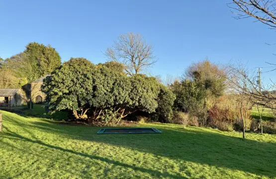 7982e6df df79 4c86 8f3f ee7fc184f9ee.jpg