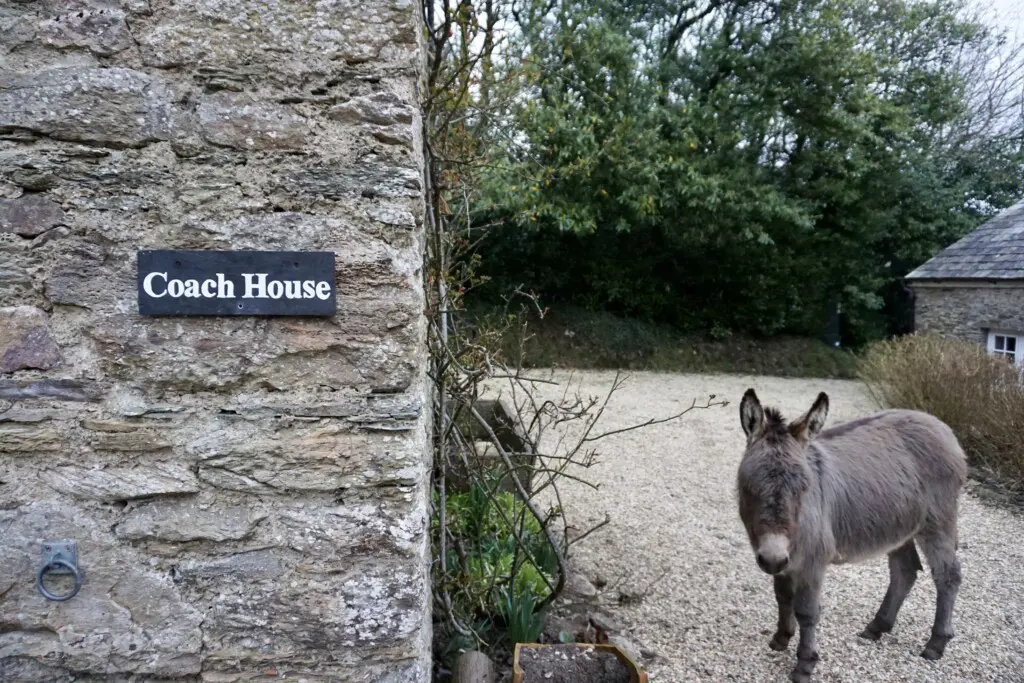 7ef775a9 6d5d 4836 b9ac 6fb45a04306e.jpg