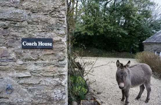 7ef775a9 6d5d 4836 b9ac 6fb45a04306e.jpg