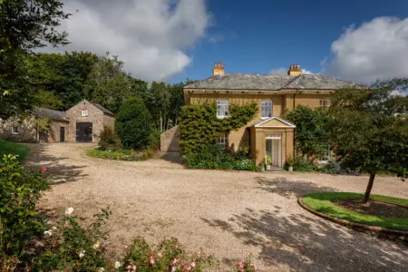 9584d6b8 8561 49cb 9a28 bc48b85e8593.jpg