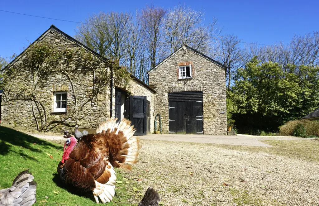 9eba33ec c42d 4574 ad21 4b447a8bf0a5.jpg