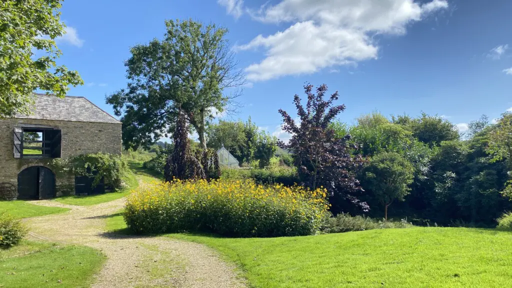 b78732bd 930b 4bd9 9b36 5bc3e0f74da5.jpg