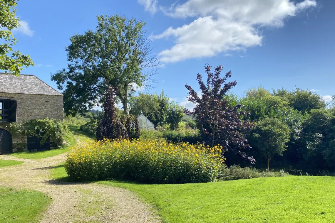 b78732bd 930b 4bd9 9b36 5bc3e0f74da5.jpg