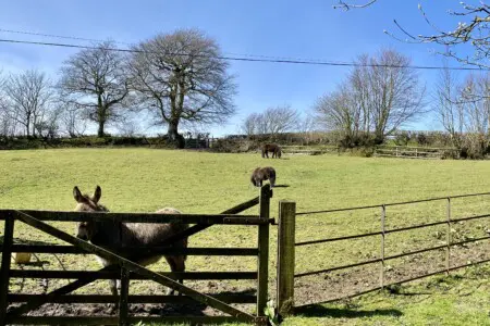 c10da792 8f49 4323 9439 13ab83ac60c3.jpg