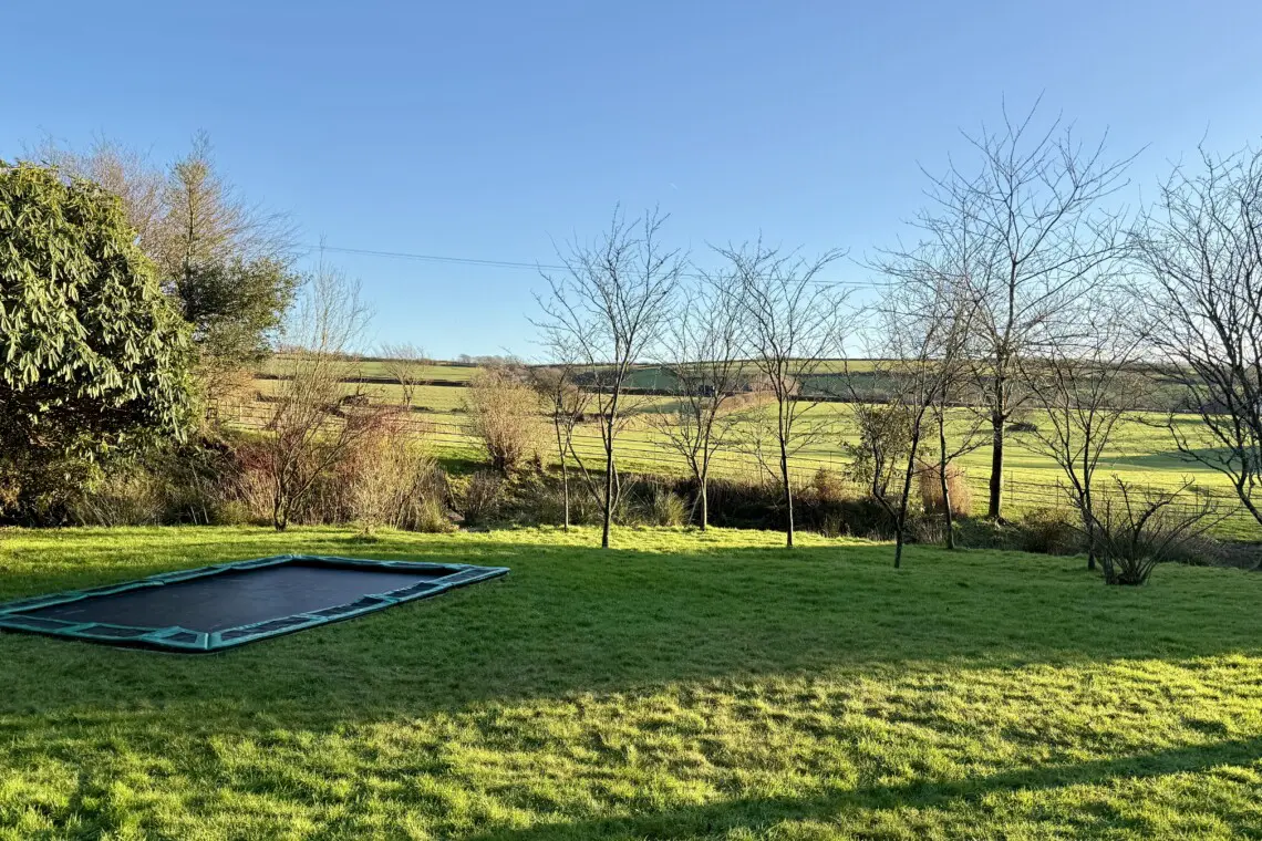 ebe87983 3b77 40f1 ae13 efb1d45090f5.jpg