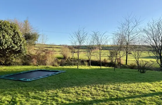 ebe87983 3b77 40f1 ae13 efb1d45090f5.jpg