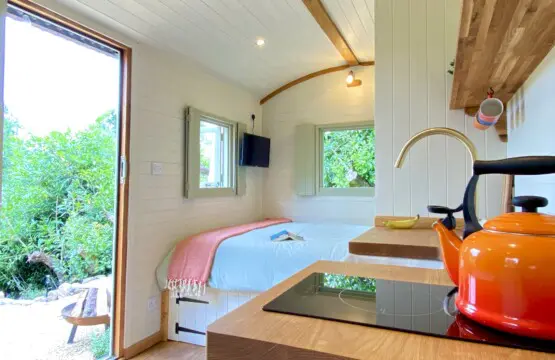 f4d72942 f4ef 4263 bd1b 9566831bc917.jpg